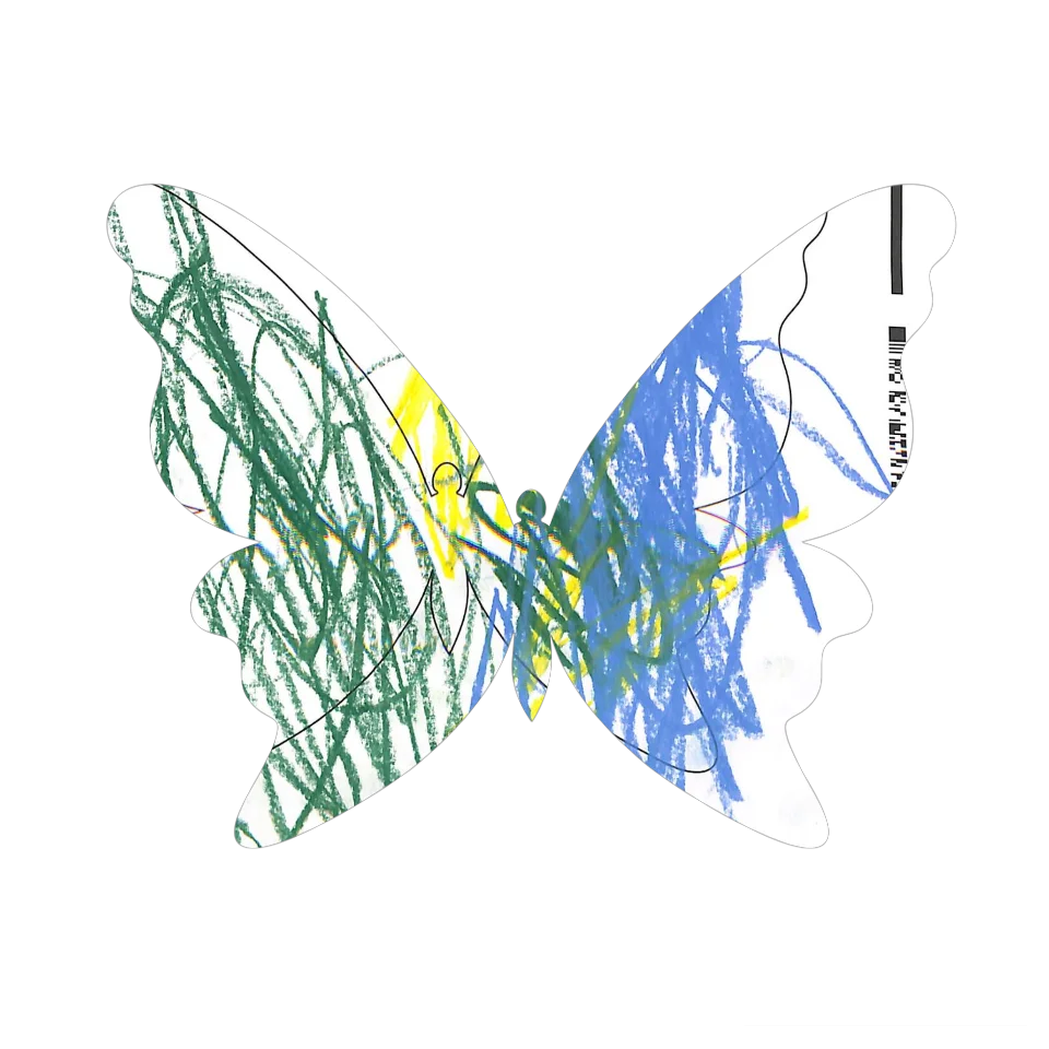 Original Butterfly Image