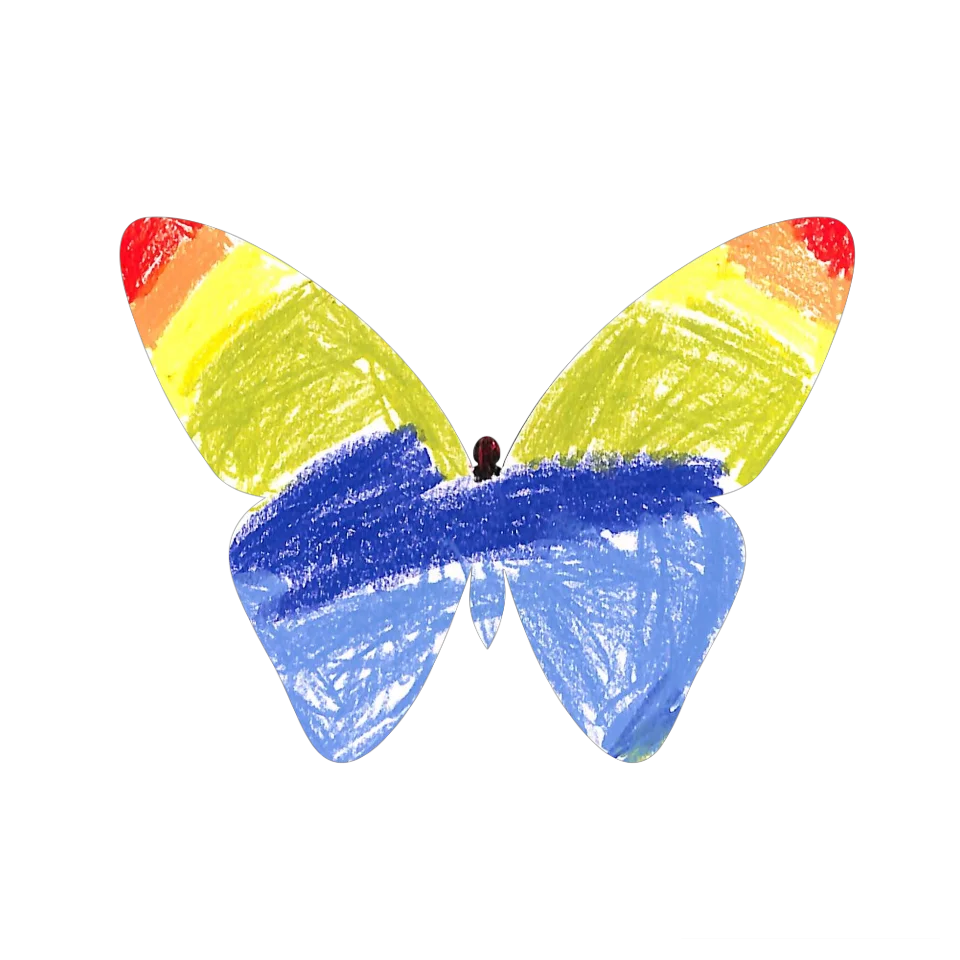 Original Butterfly Image