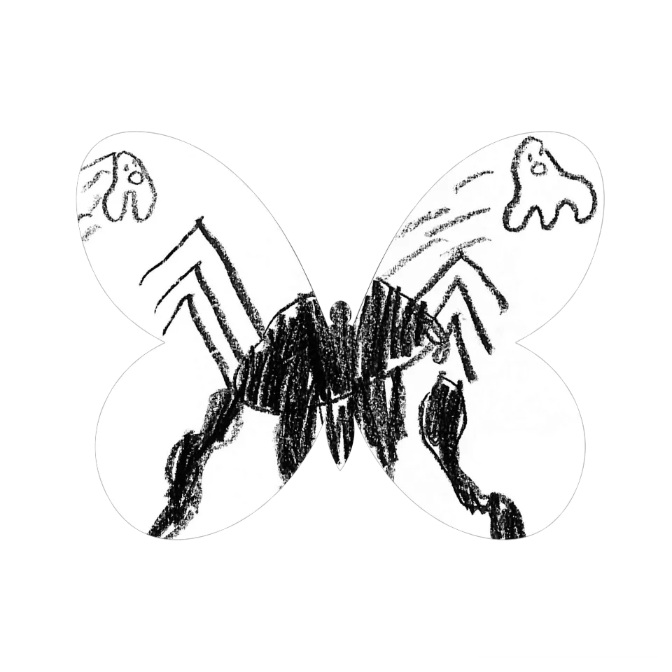 Original Butterfly Image