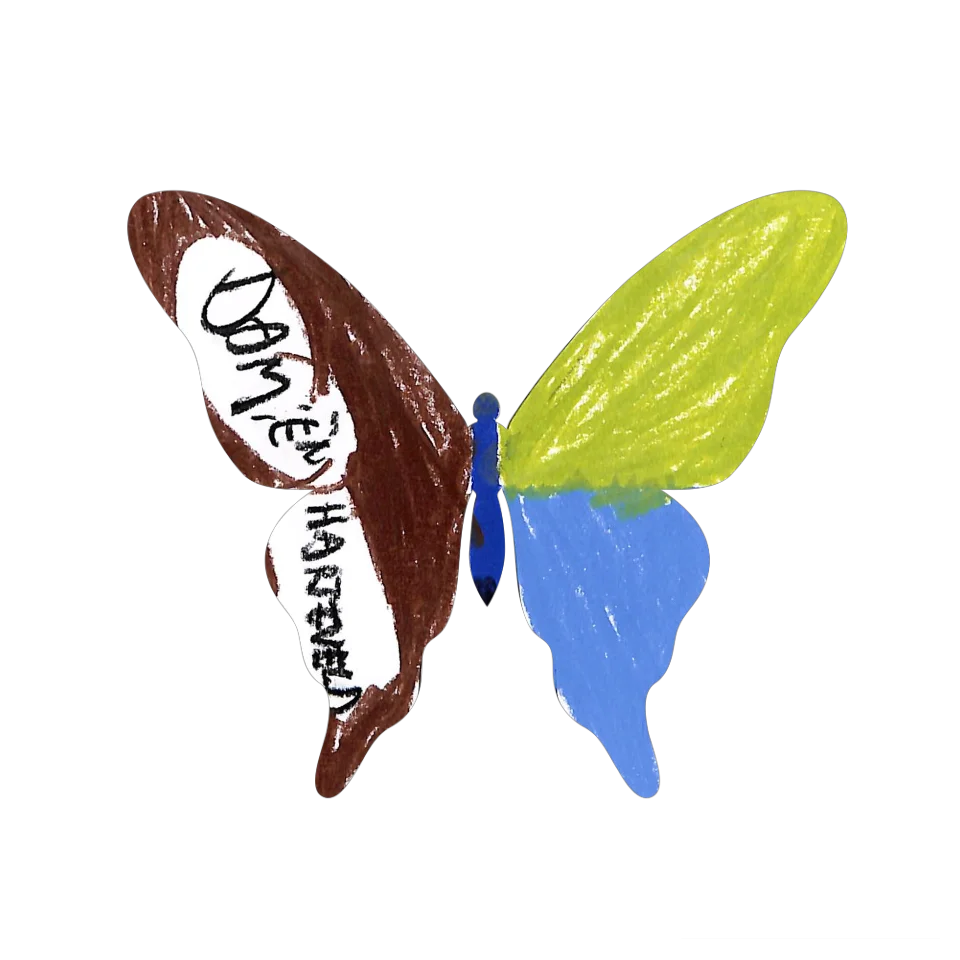 Original Butterfly Image