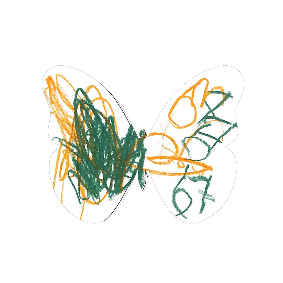 Original Butterfly Image