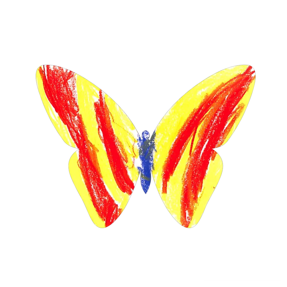 Original Butterfly Image