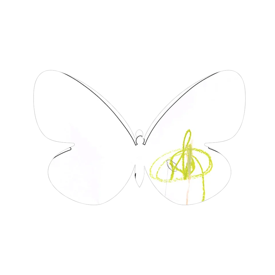 Original Butterfly Image