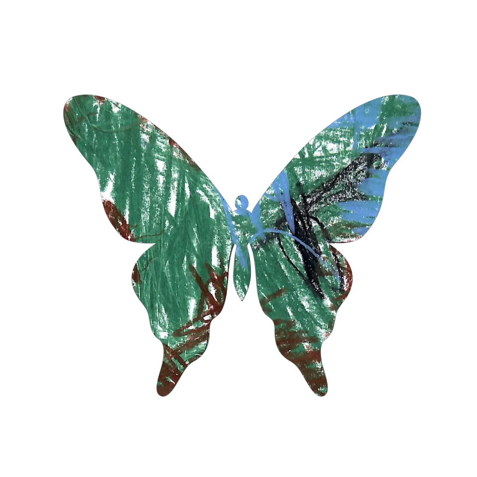 Original Butterfly Image