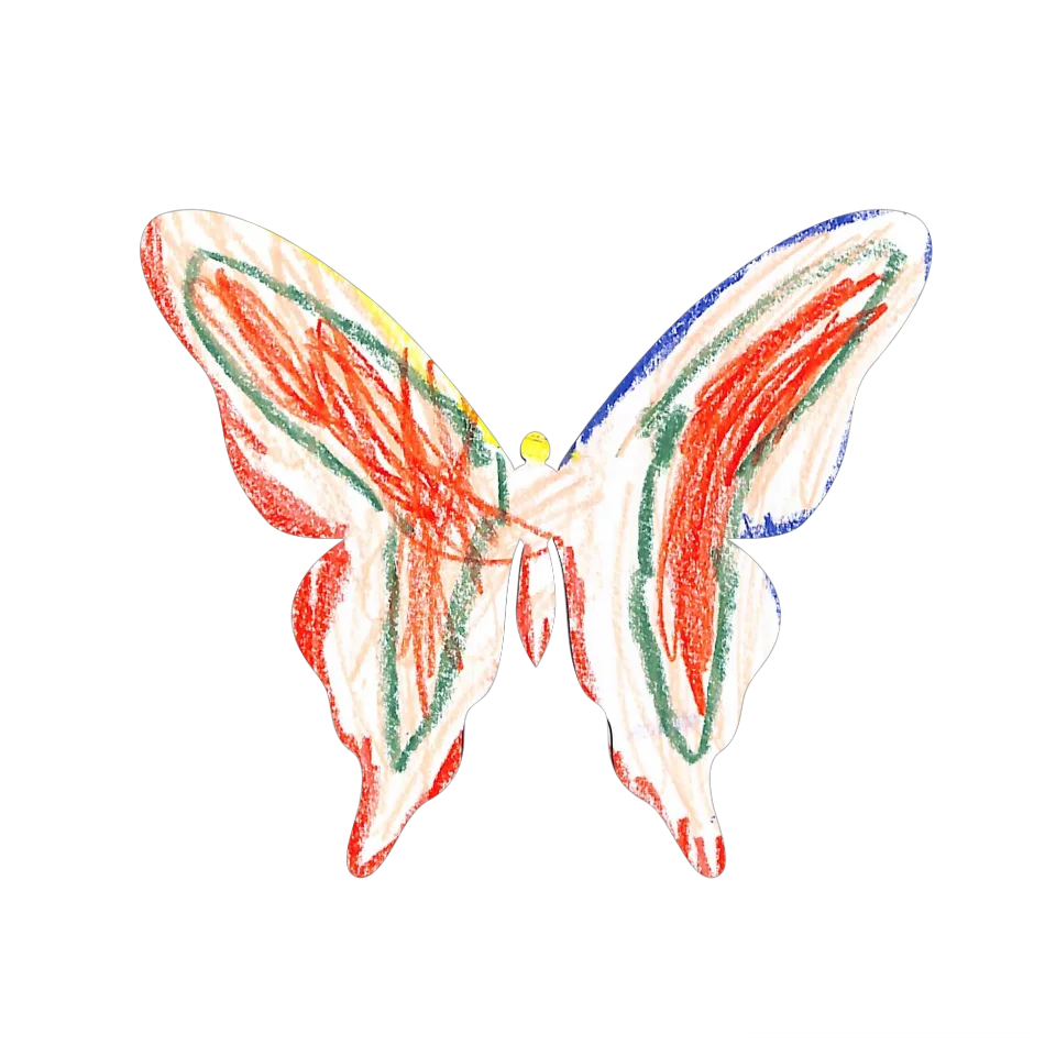 Original Butterfly Image