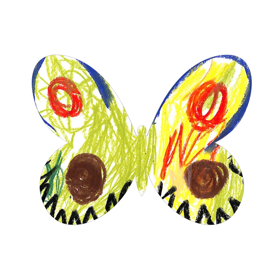 Original Butterfly Image