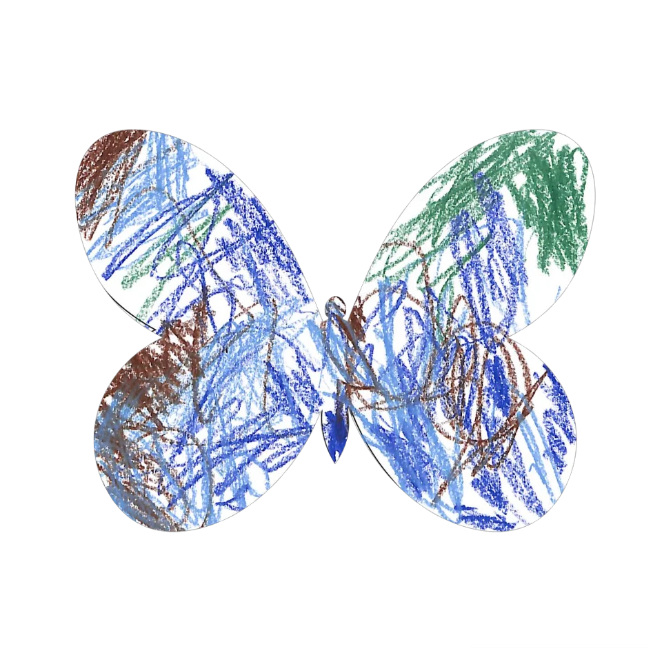 Original Butterfly Image