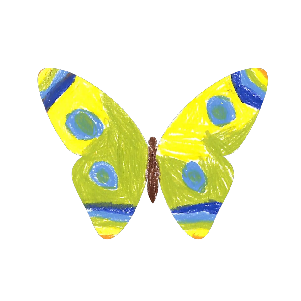 Original Butterfly Image