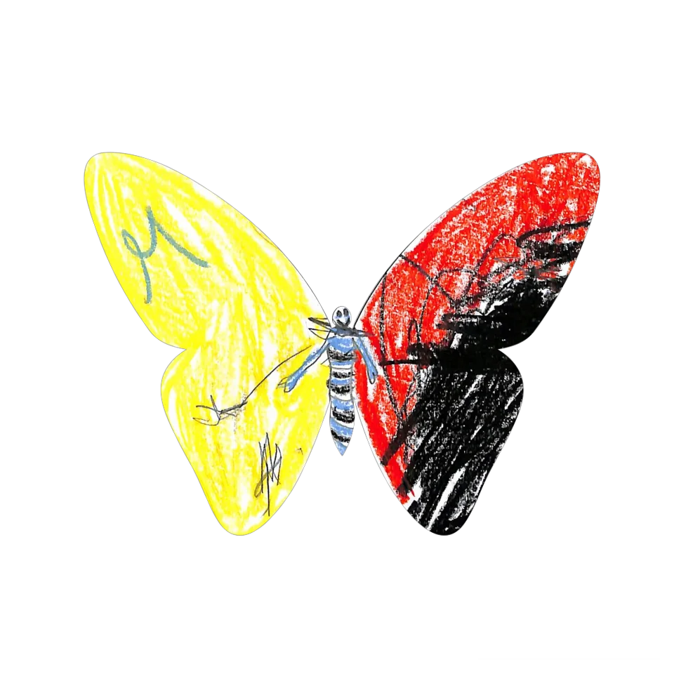 Original Butterfly Image
