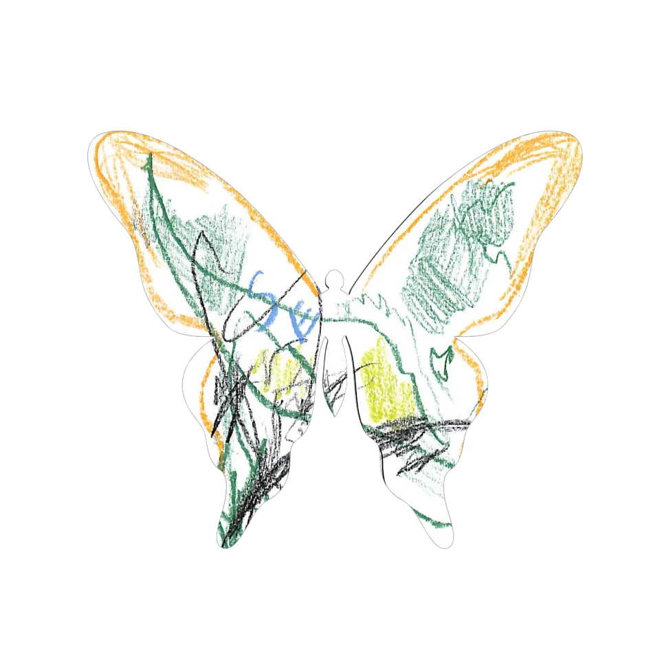 Original Butterfly Image