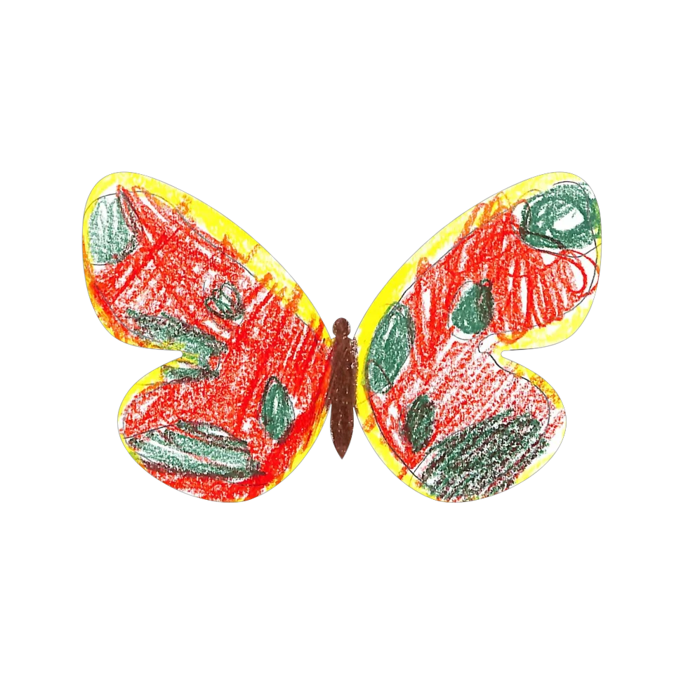 Original Butterfly Image