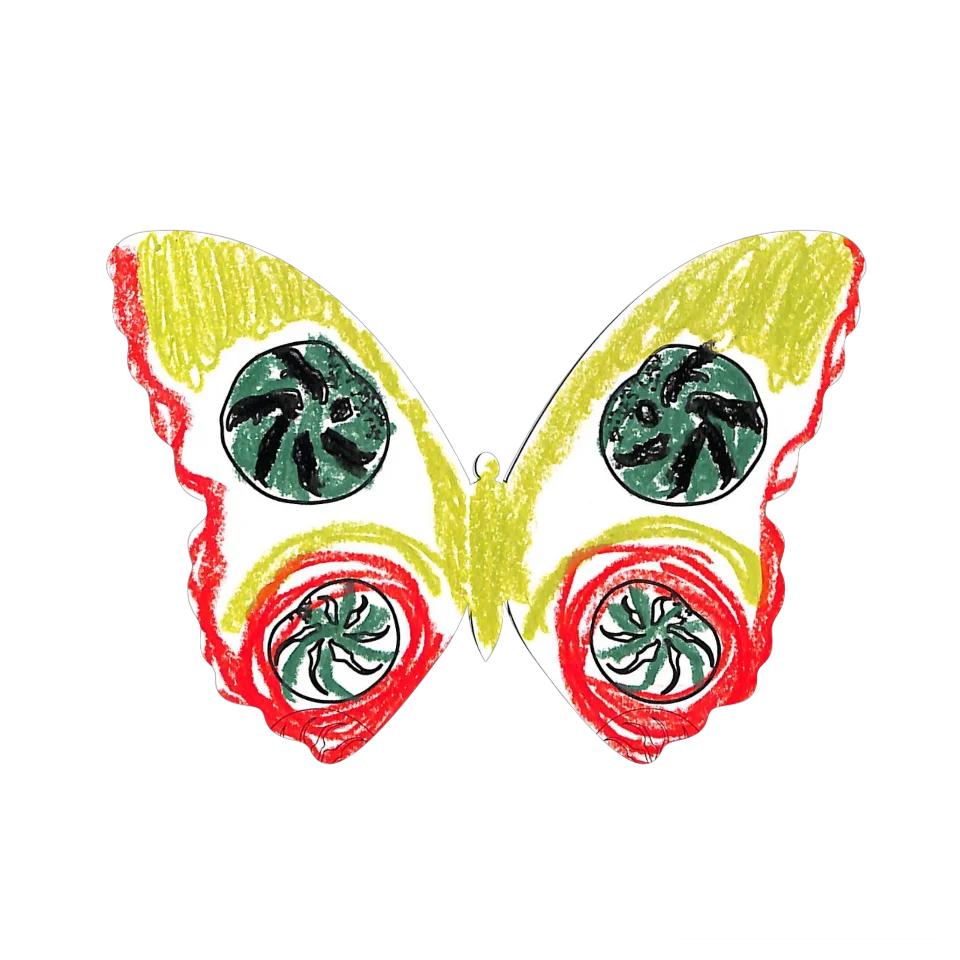 Original Butterfly Image