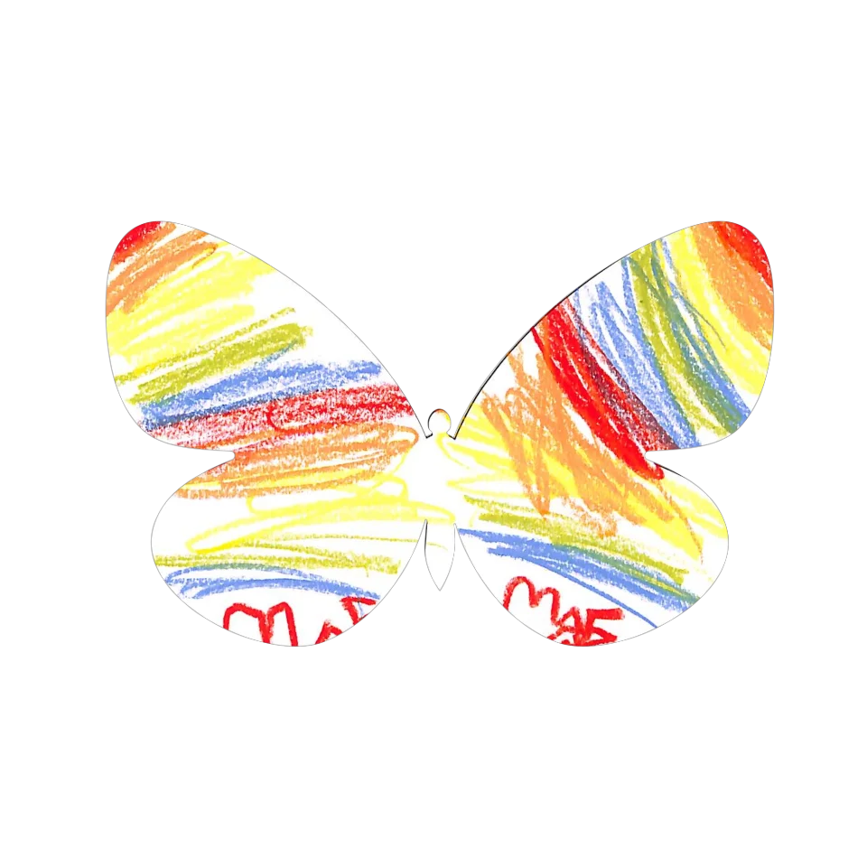 Original Butterfly Image
