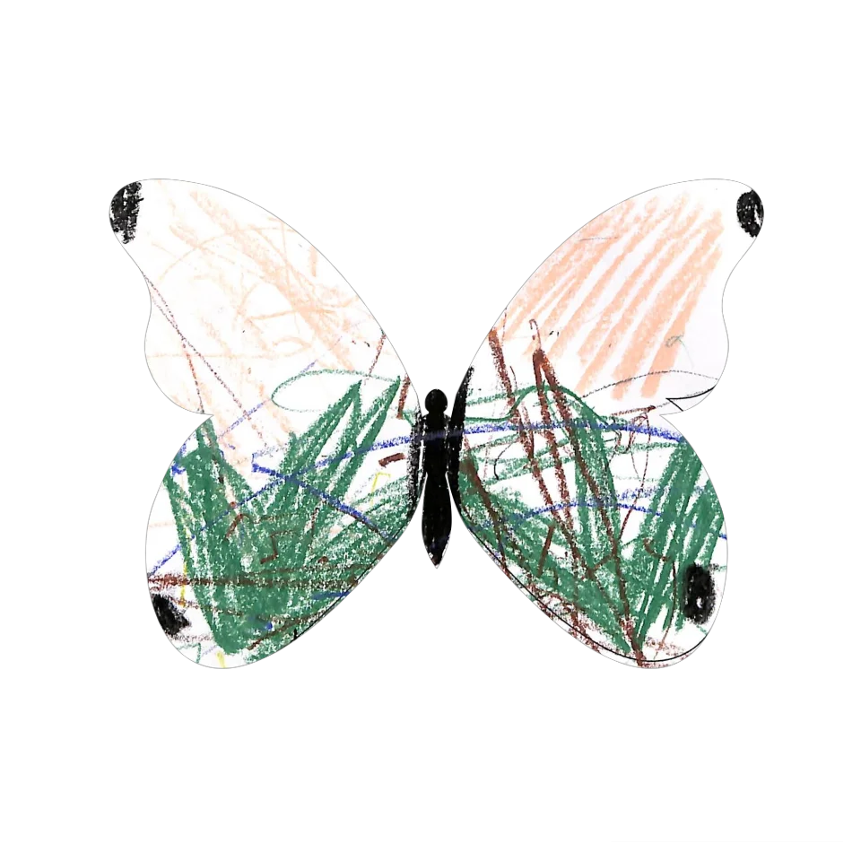 Original Butterfly Image