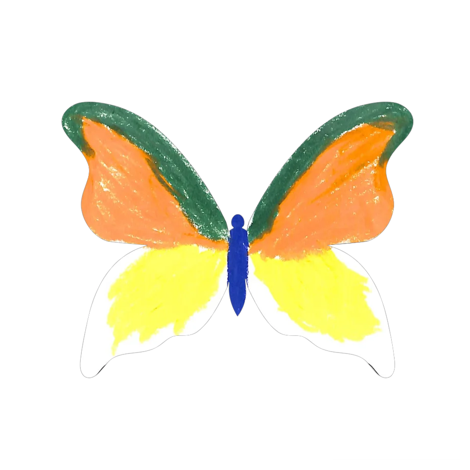 Original Butterfly Image