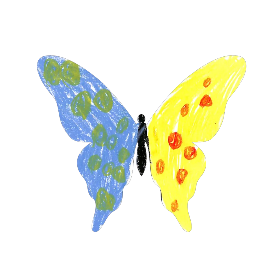Original Butterfly Image