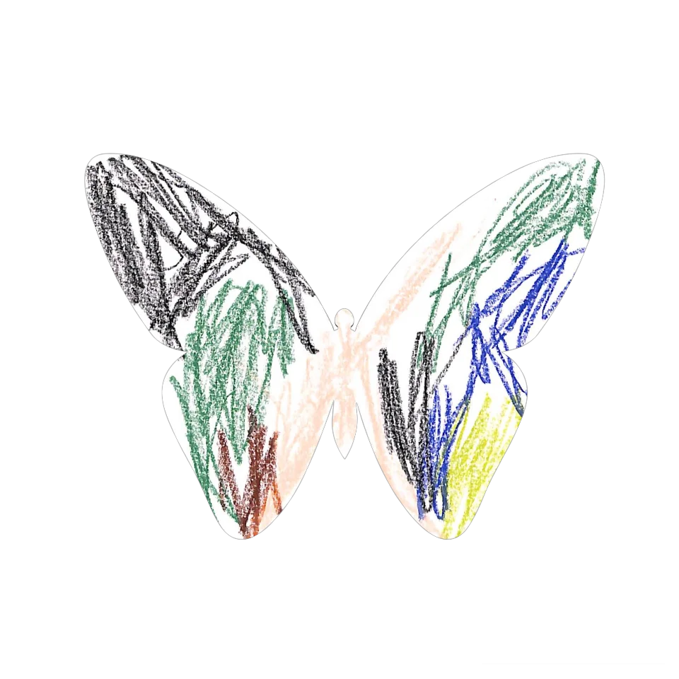 Original Butterfly Image