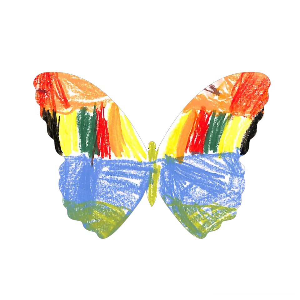 Original Butterfly Image