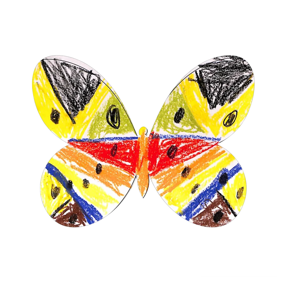 Original Butterfly Image