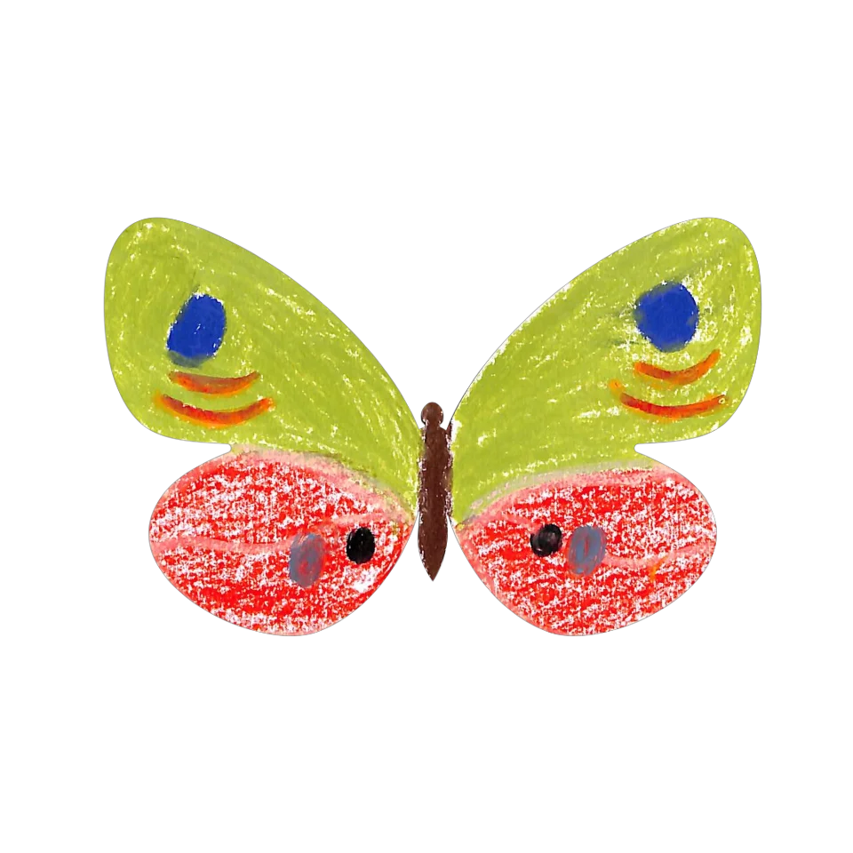 Original Butterfly Image