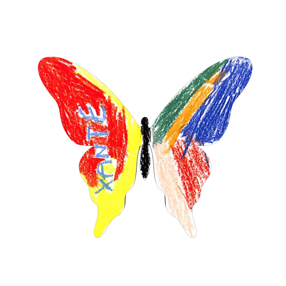 Original Butterfly Image