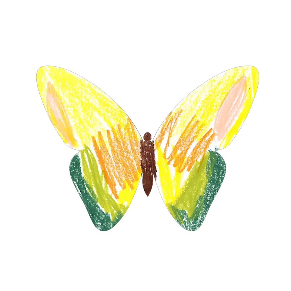 Original Butterfly Image
