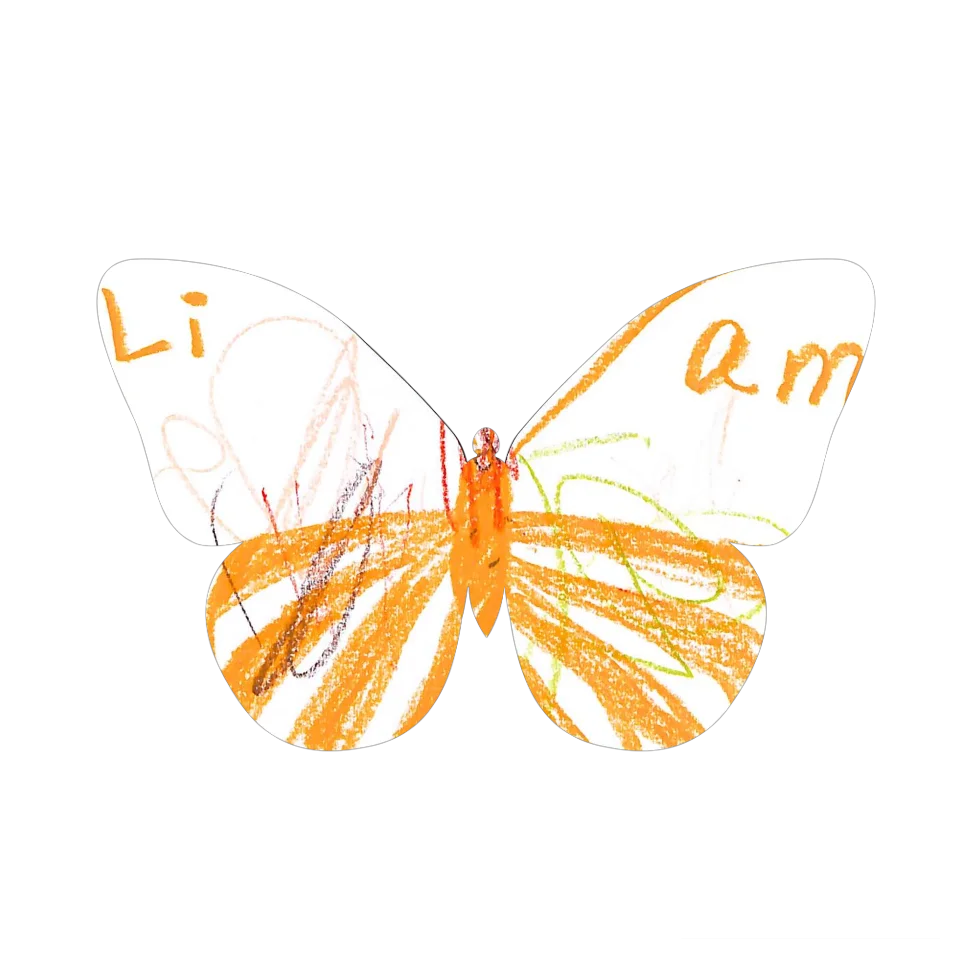 Original Butterfly Image