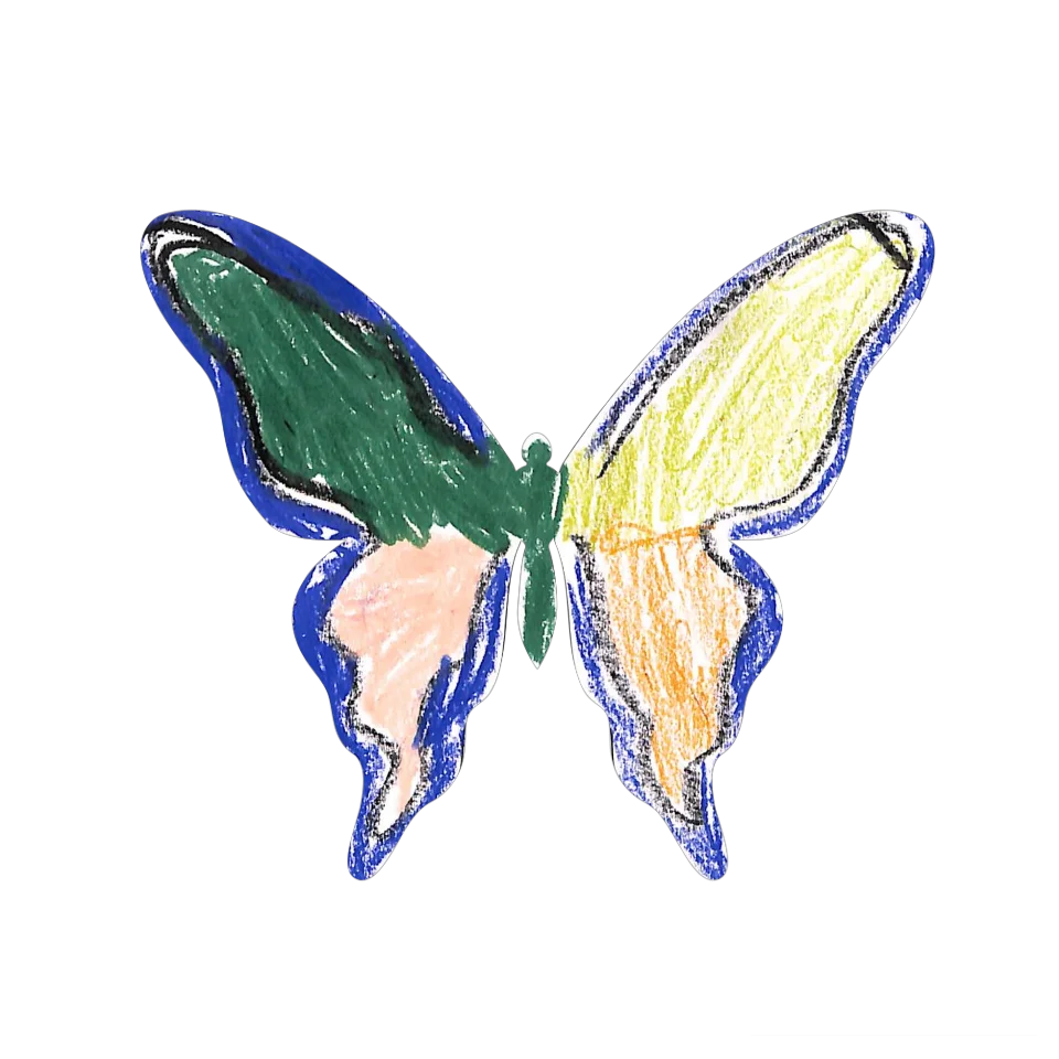 Original Butterfly Image