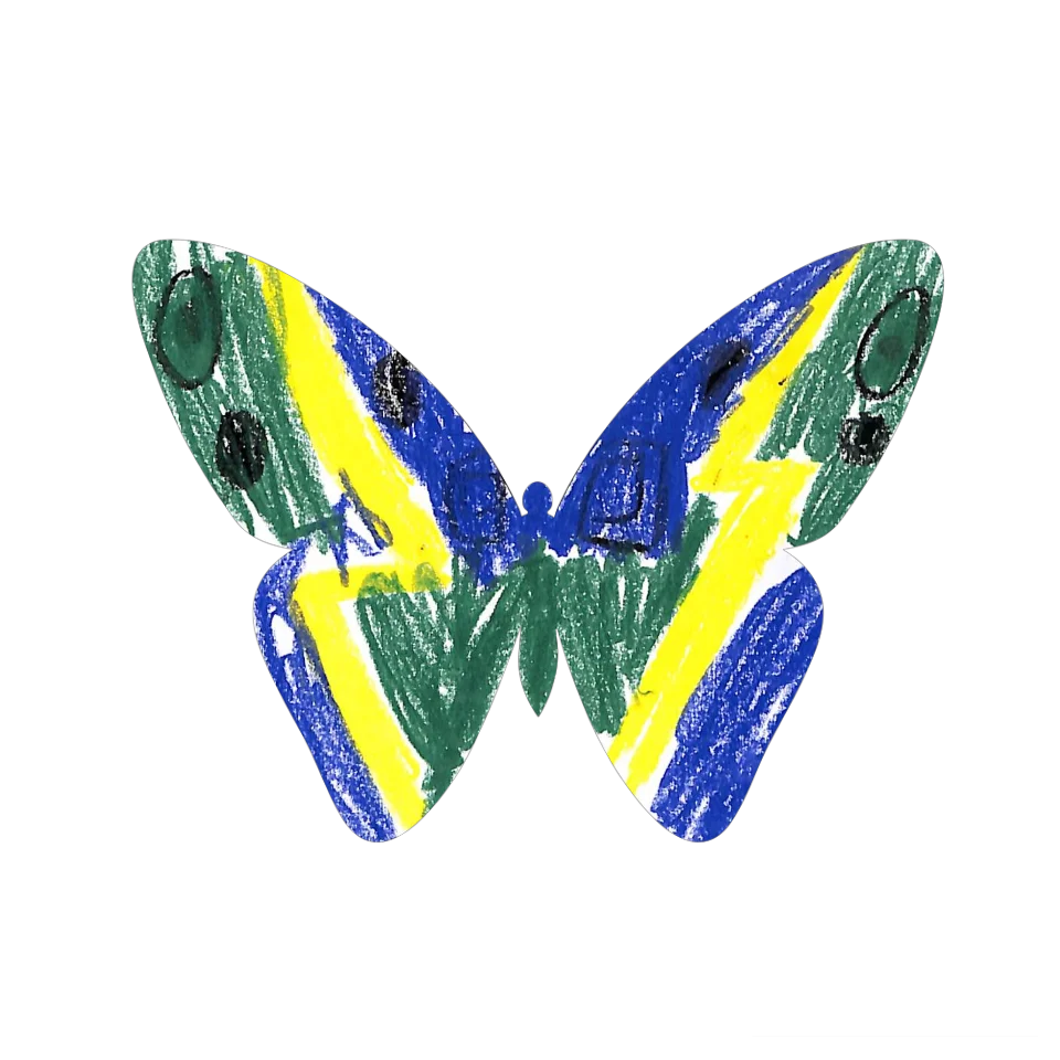 Original Butterfly Image