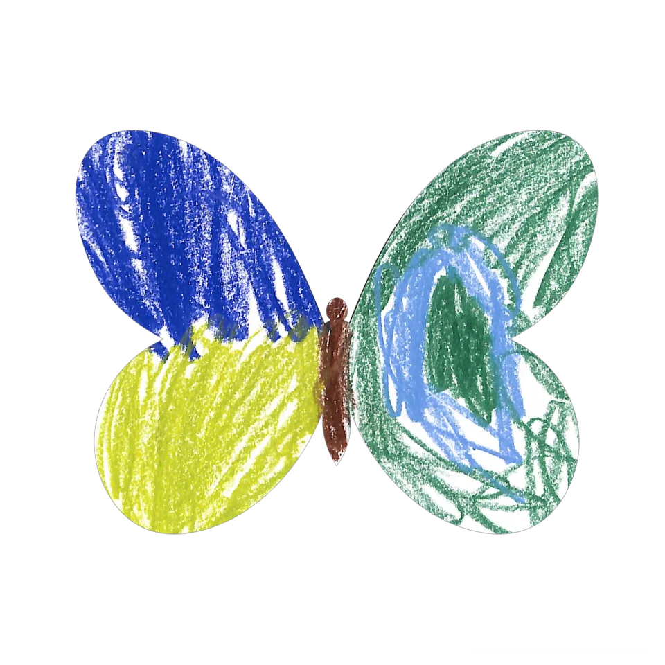 Original Butterfly Image