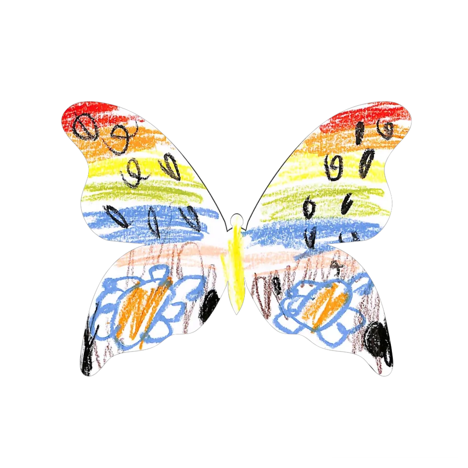 Original Butterfly Image