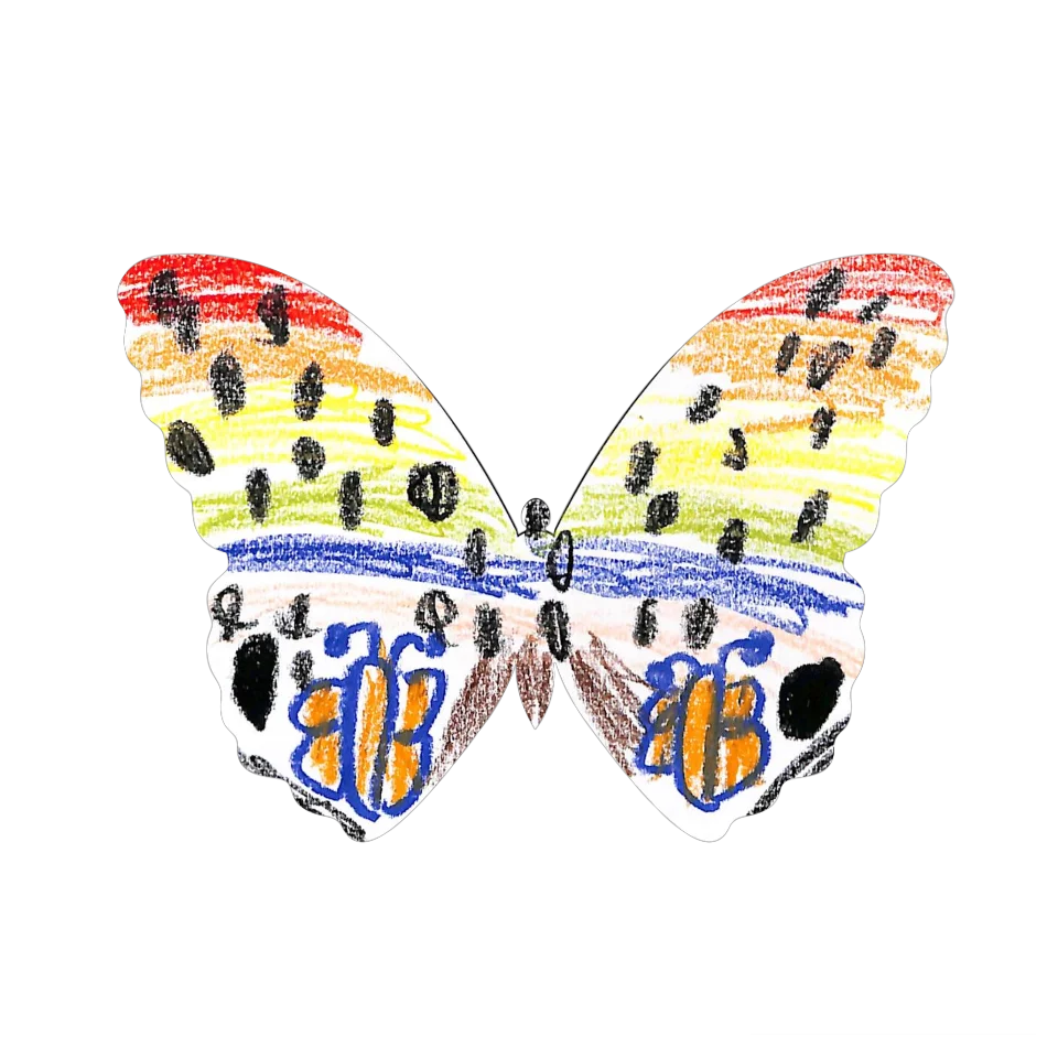 Original Butterfly Image