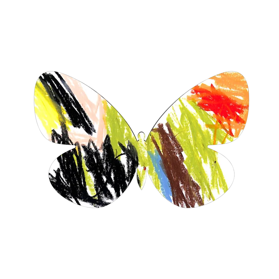 Original Butterfly Image