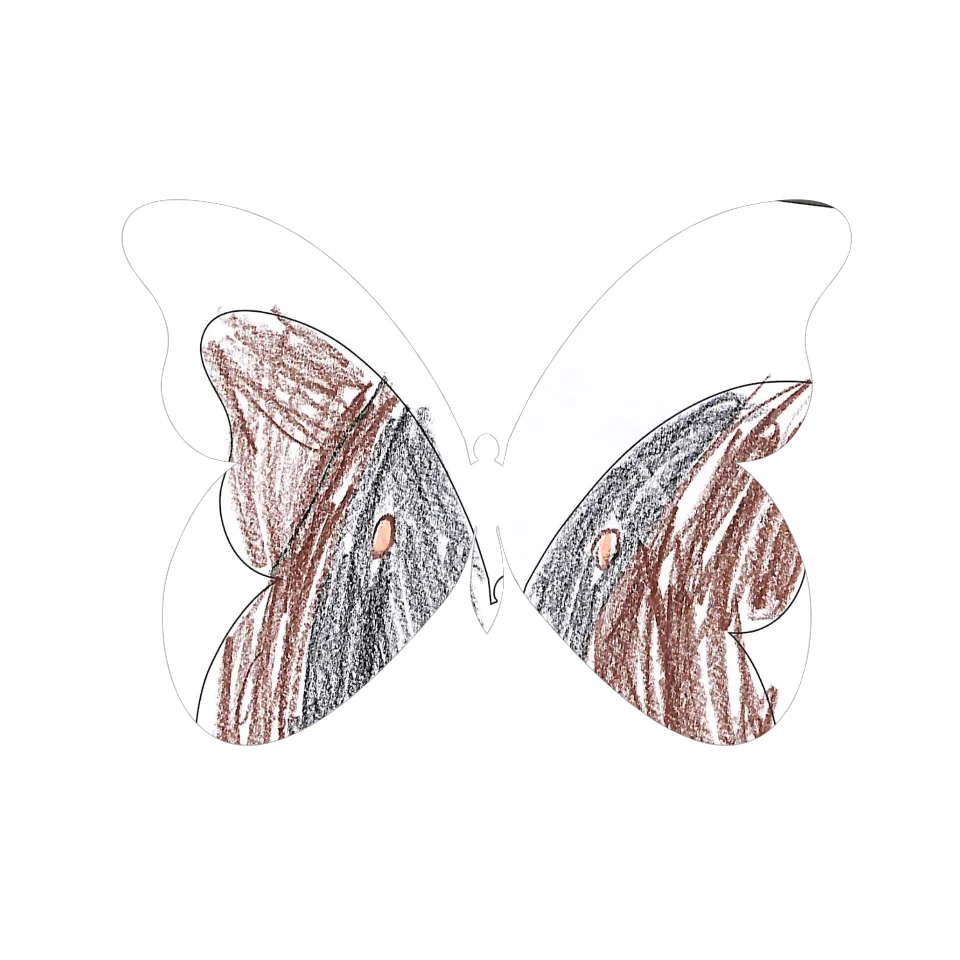 Original Butterfly Image