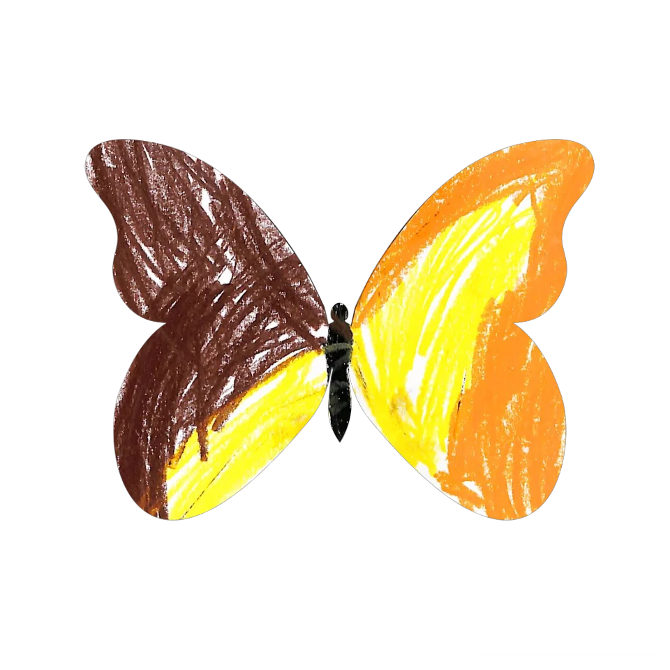 Original Butterfly Image