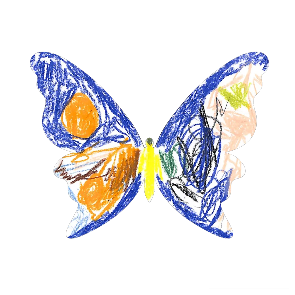 Original Butterfly Image
