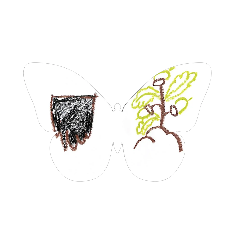 Original Butterfly Image
