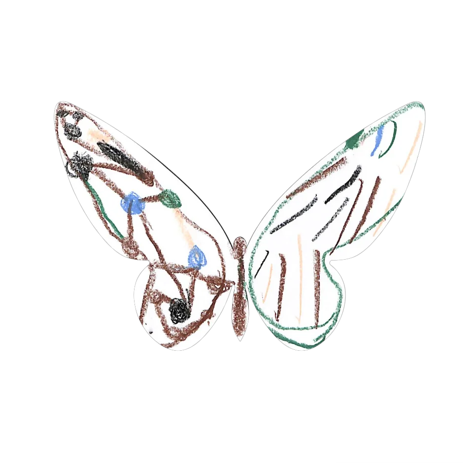 Original Butterfly Image