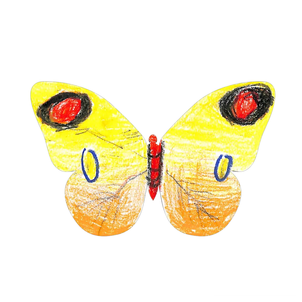 Original Butterfly Image