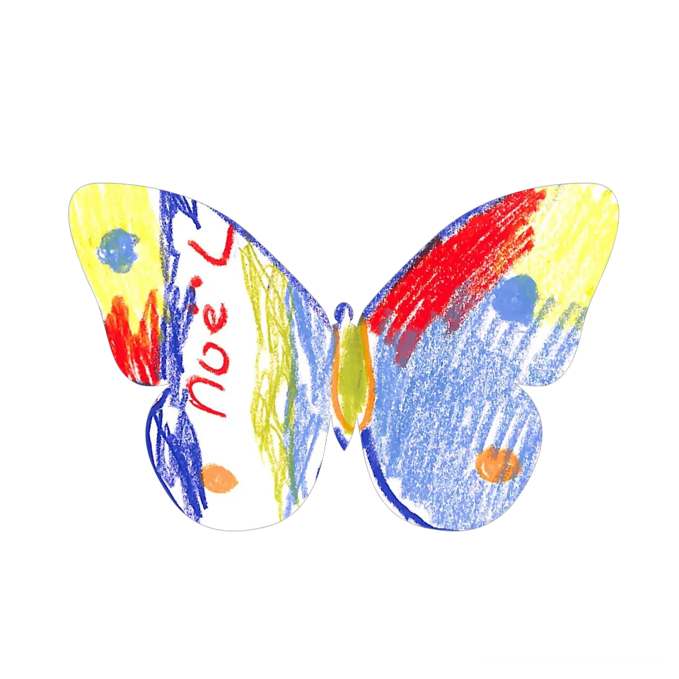 Original Butterfly Image