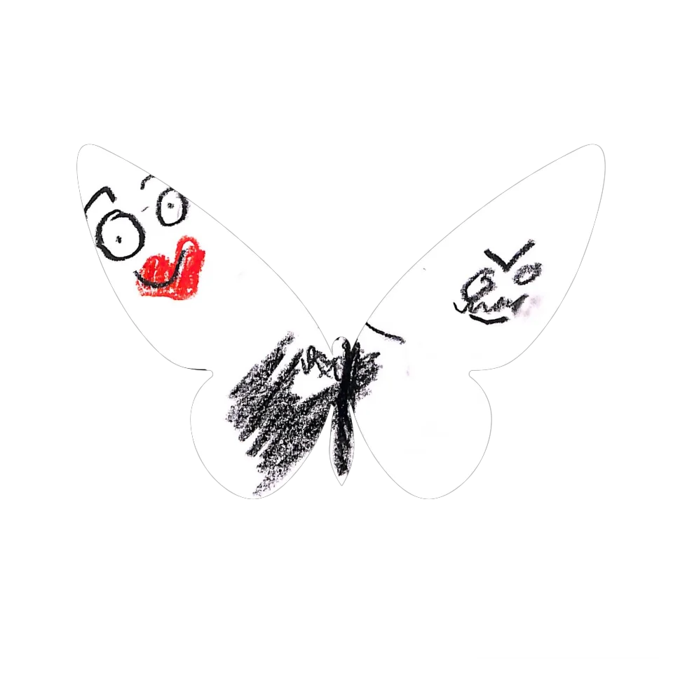 Original Butterfly Image