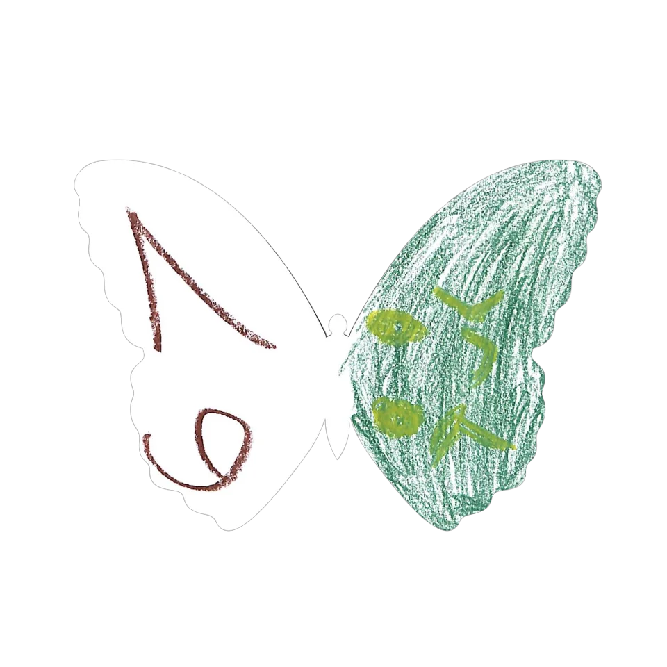 Original Butterfly Image