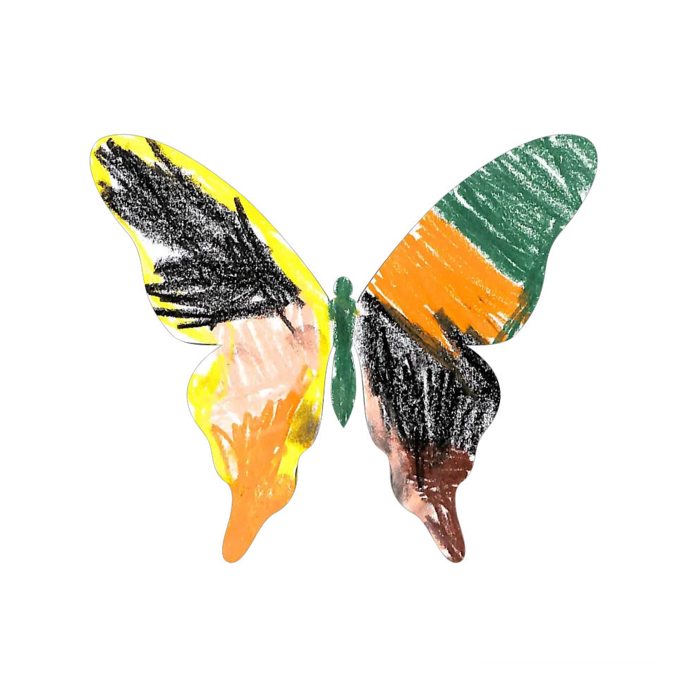 Original Butterfly Image