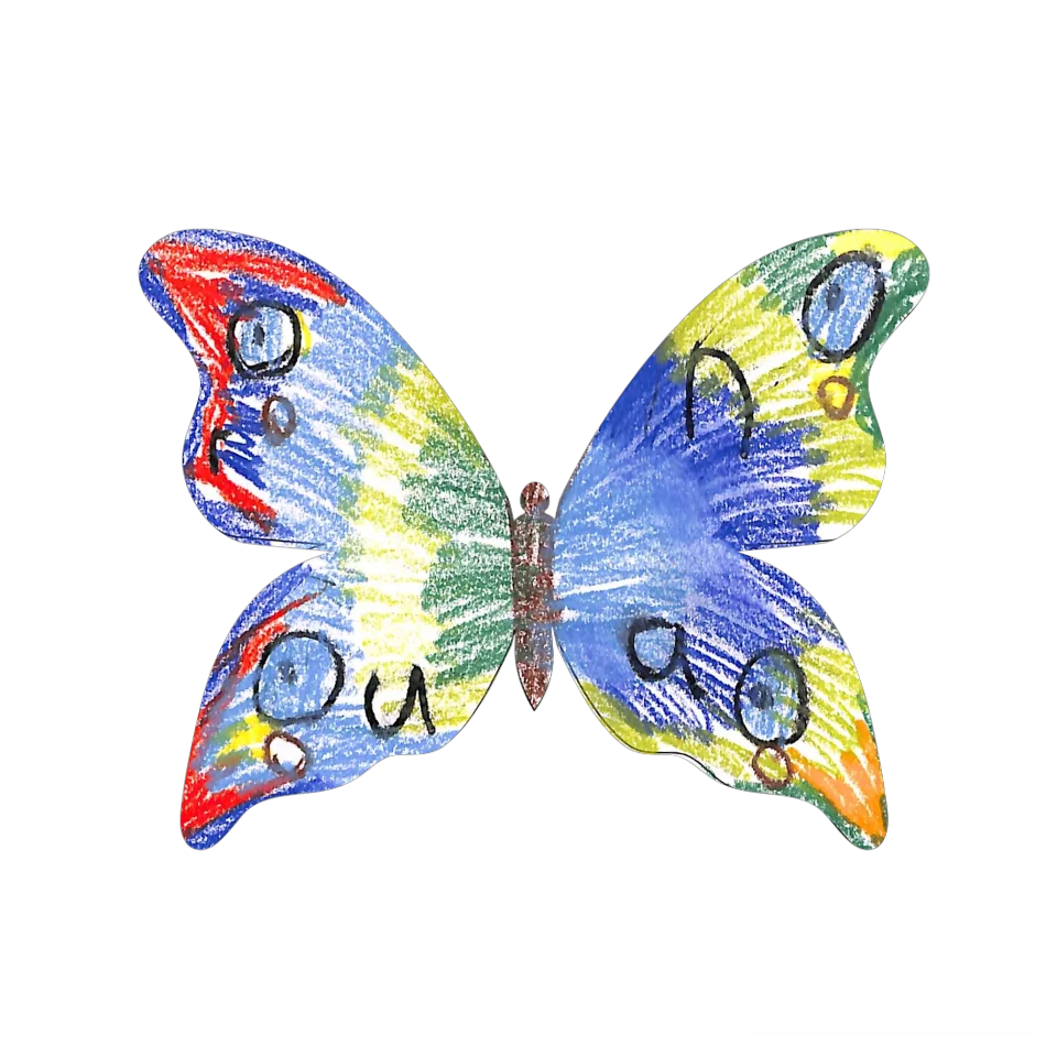 Original Butterfly Image