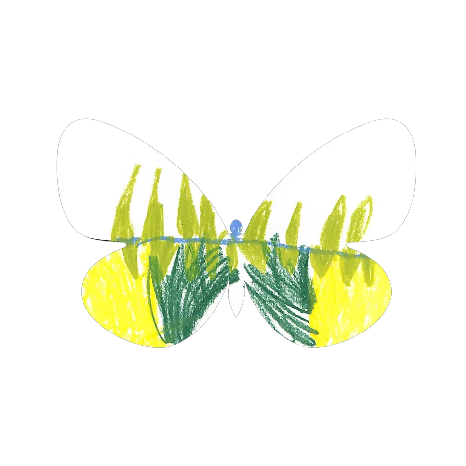 Original Butterfly Image