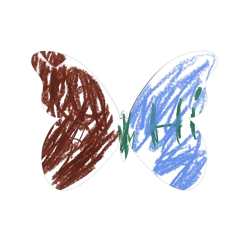Original Butterfly Image