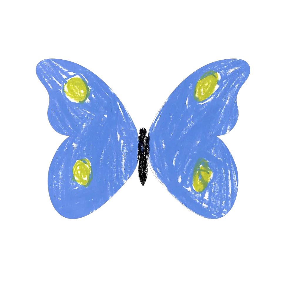 Original Butterfly Image
