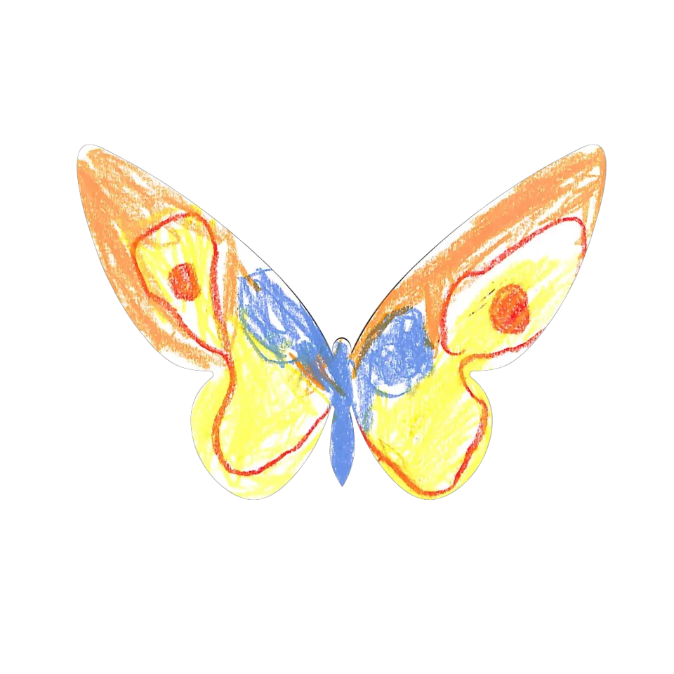 Original Butterfly Image
