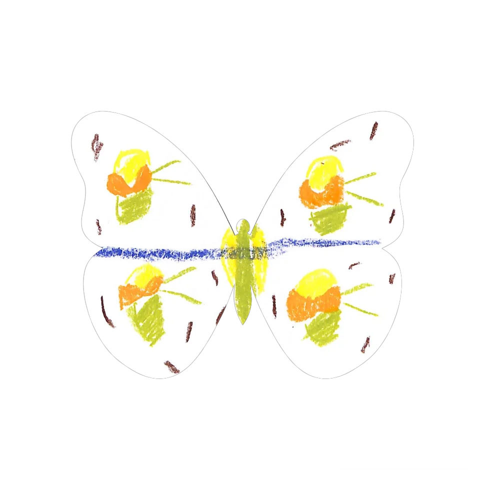 Original Butterfly Image