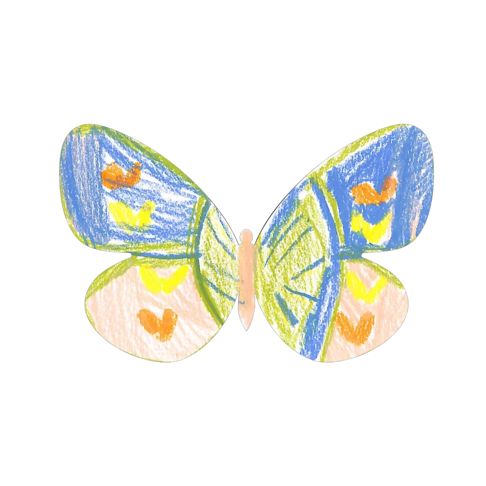 Original Butterfly Image